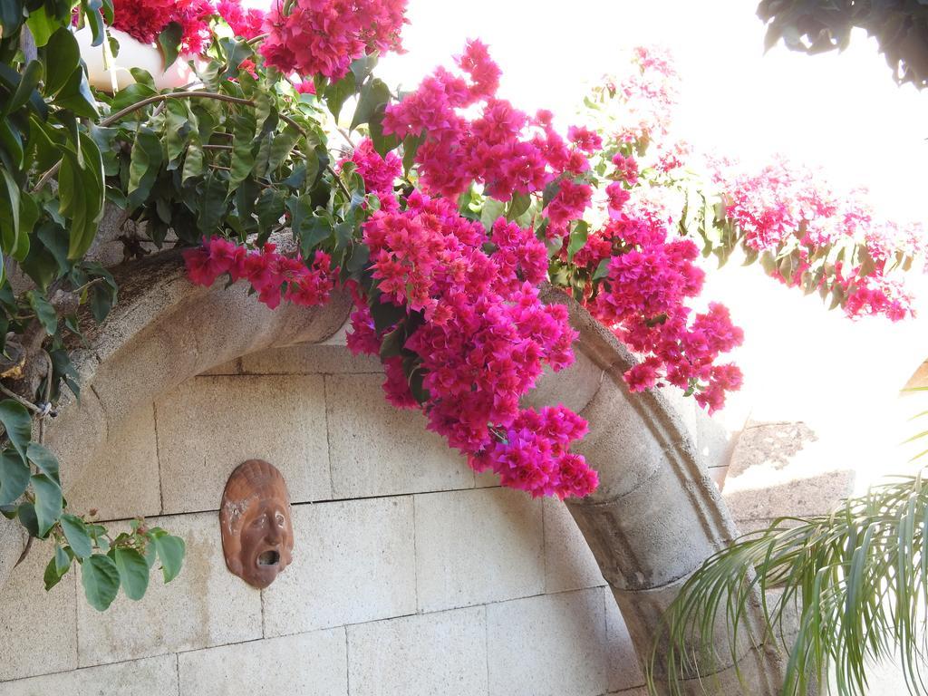 Nikos Ikies Hotel Theologos  Exterior photo